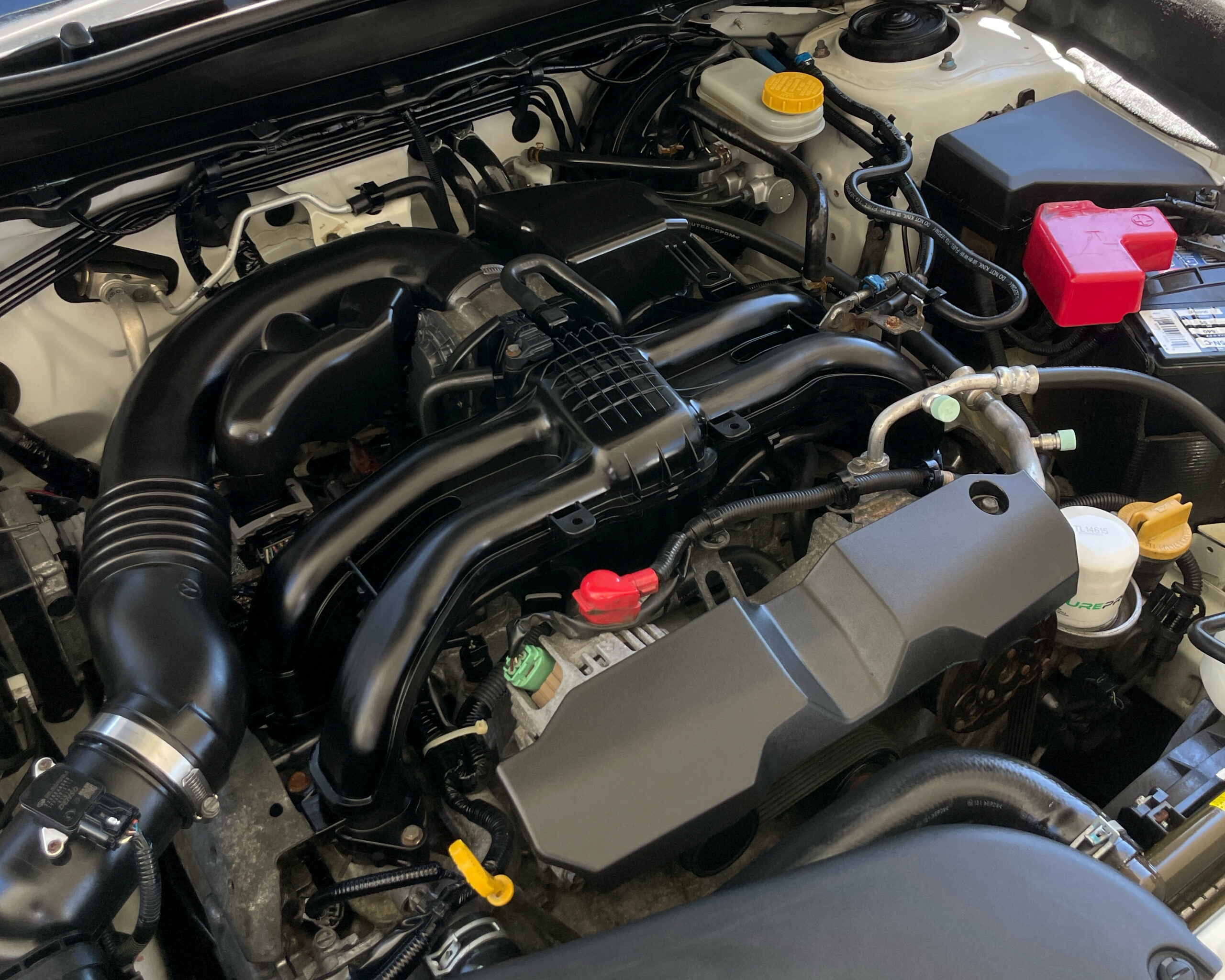 Engine bay after detail — clean components and degreased surfaces