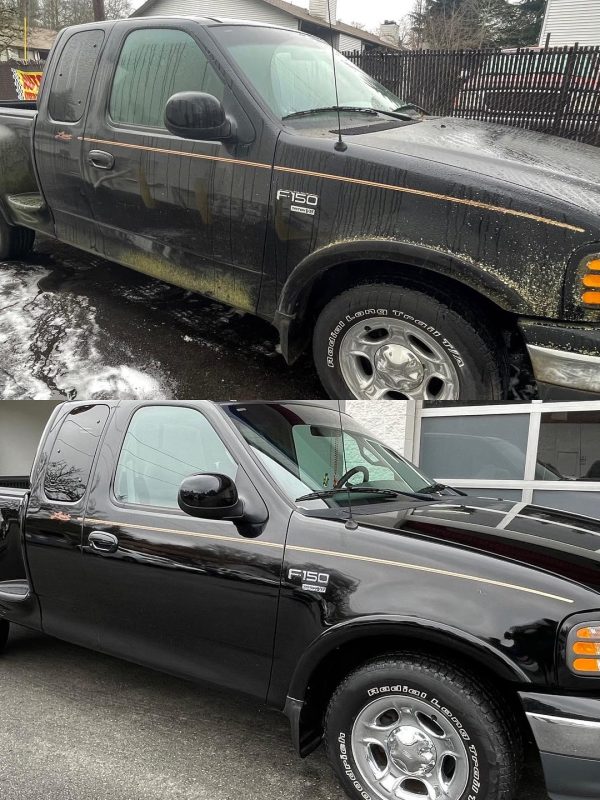 Mildew and mold special exterior truck detailing.